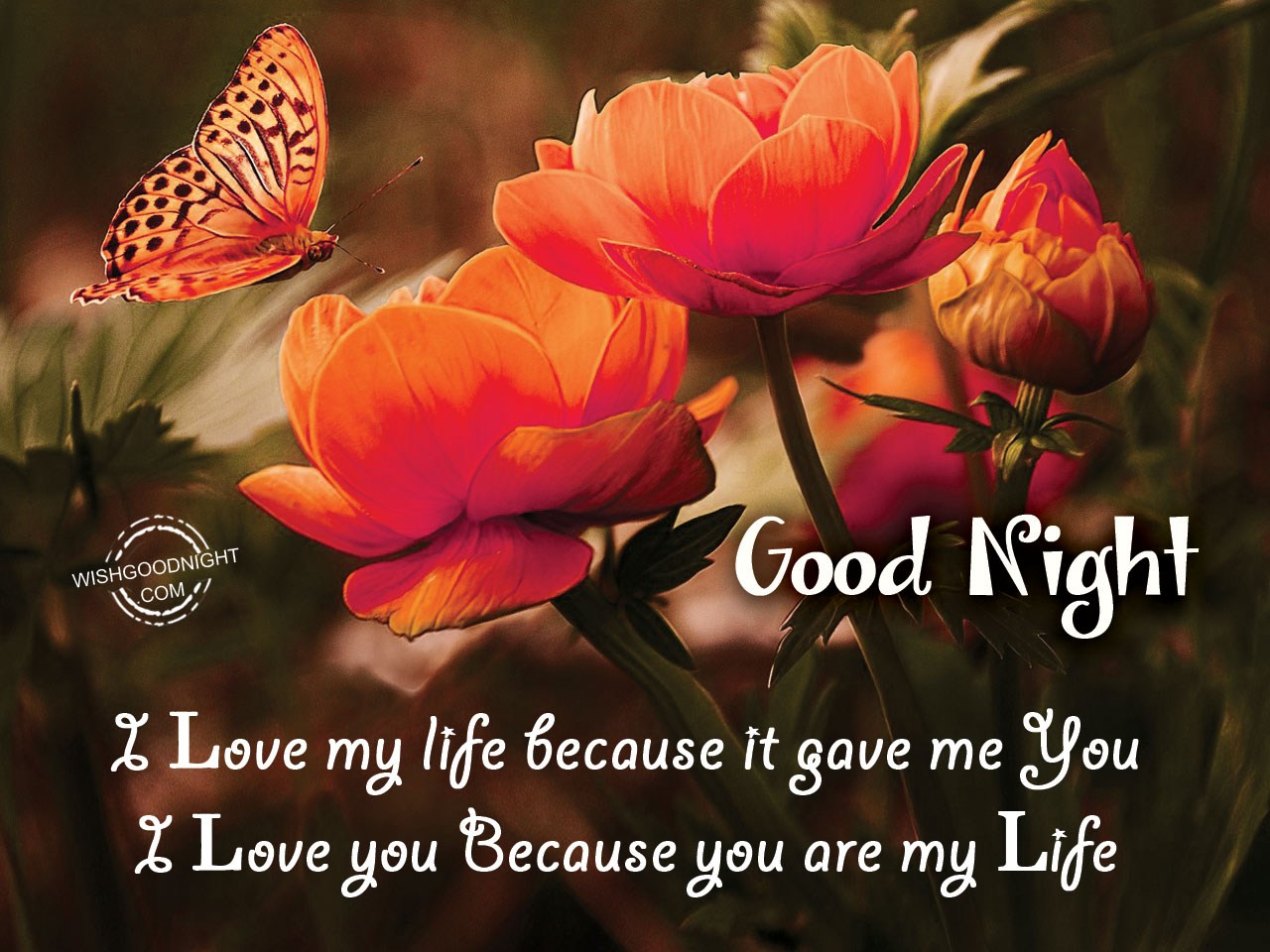 Good Night Wishes for Husband - Goodnight Quotes for Hubby