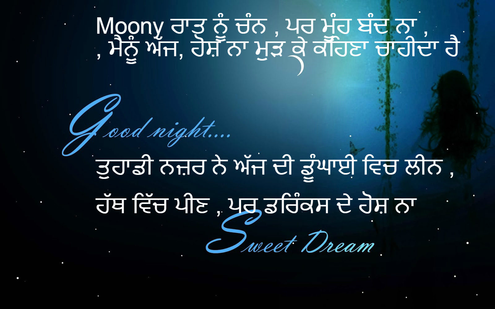 Punjabi Good Night Messages: Goodnight Wishes, Quotes, Shayari Images