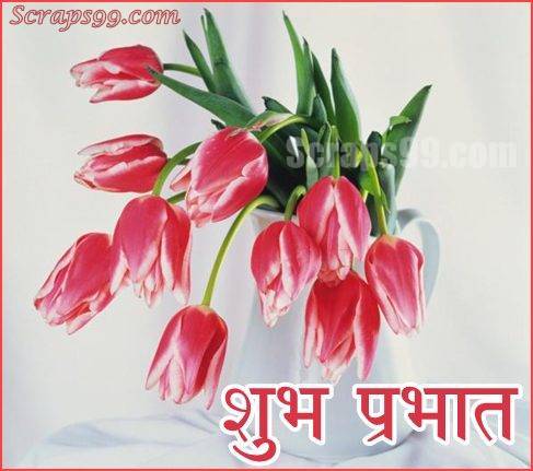 Shubh Prabhat Wallpapers - Shubh Din SMS, Quotes, Status, Greetings, Message Images, Wallpapers, Photos