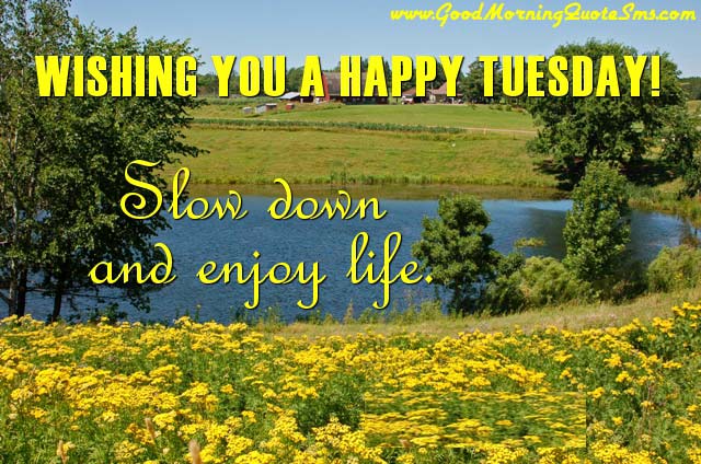 Tuesday-Morning-Quotes-Happy-Tuesday-Wishes-Message-Status-Pictures-Images-Wallpapers-Photos-pictures