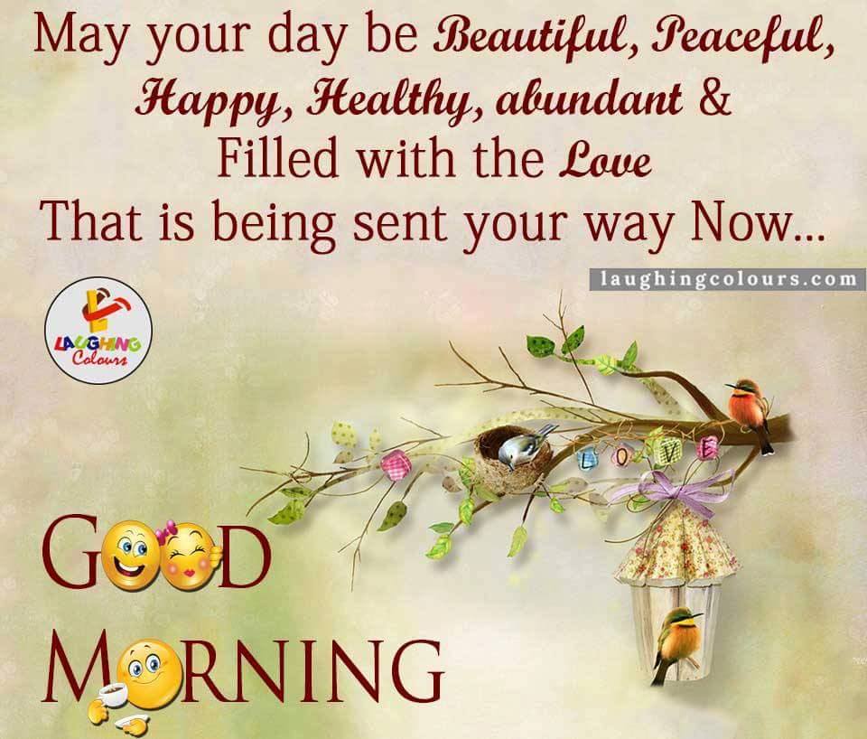 Good Morning Status For Whatsapp Friends Cute Morning Wishes Sms