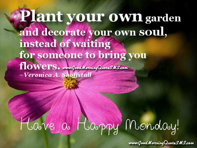 Happy Monday Greetings - Happy Morning Images, Good Morning Quotes ...