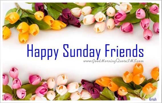 good morning friends have a wonderful sunday