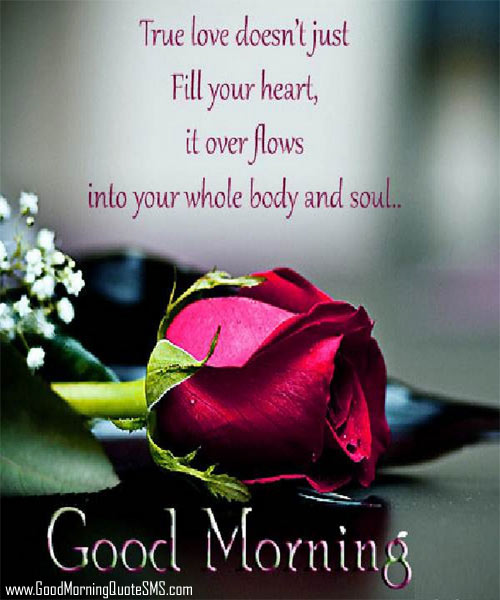 Lovely Good Morning Sweetheart Images, Wallpapers, Photos, Pictures Download