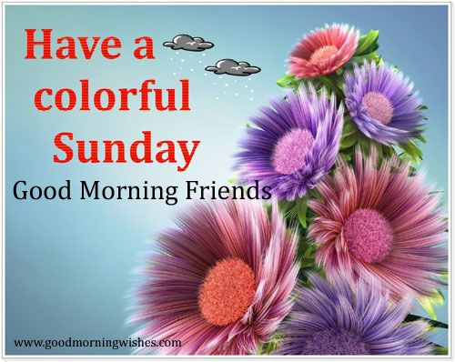 Have a colorful sunday - Good Morning Wishes, Sunday Morning