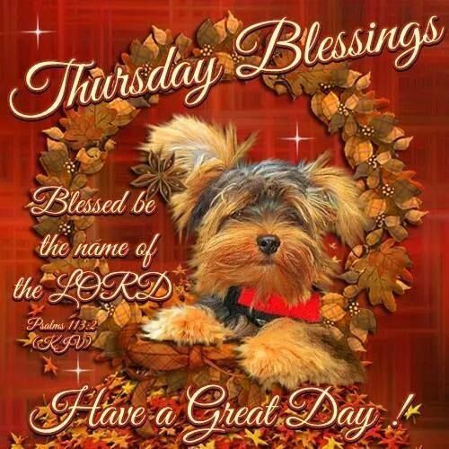 Thursday Blessings Have a Great Day 