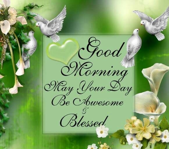 Good Morning May Your Day Be Blessed and Awesome Wishes Images