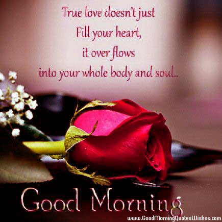 Good Morning True Love Quotes Wishes Images Wallpapers Photos