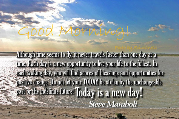 Today is New Day Best Good Morning Quotes Wallpapers